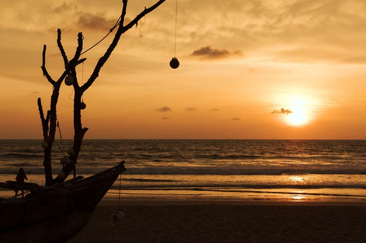 Amal Beach Hotel Bentota Ngoại thất bức ảnh