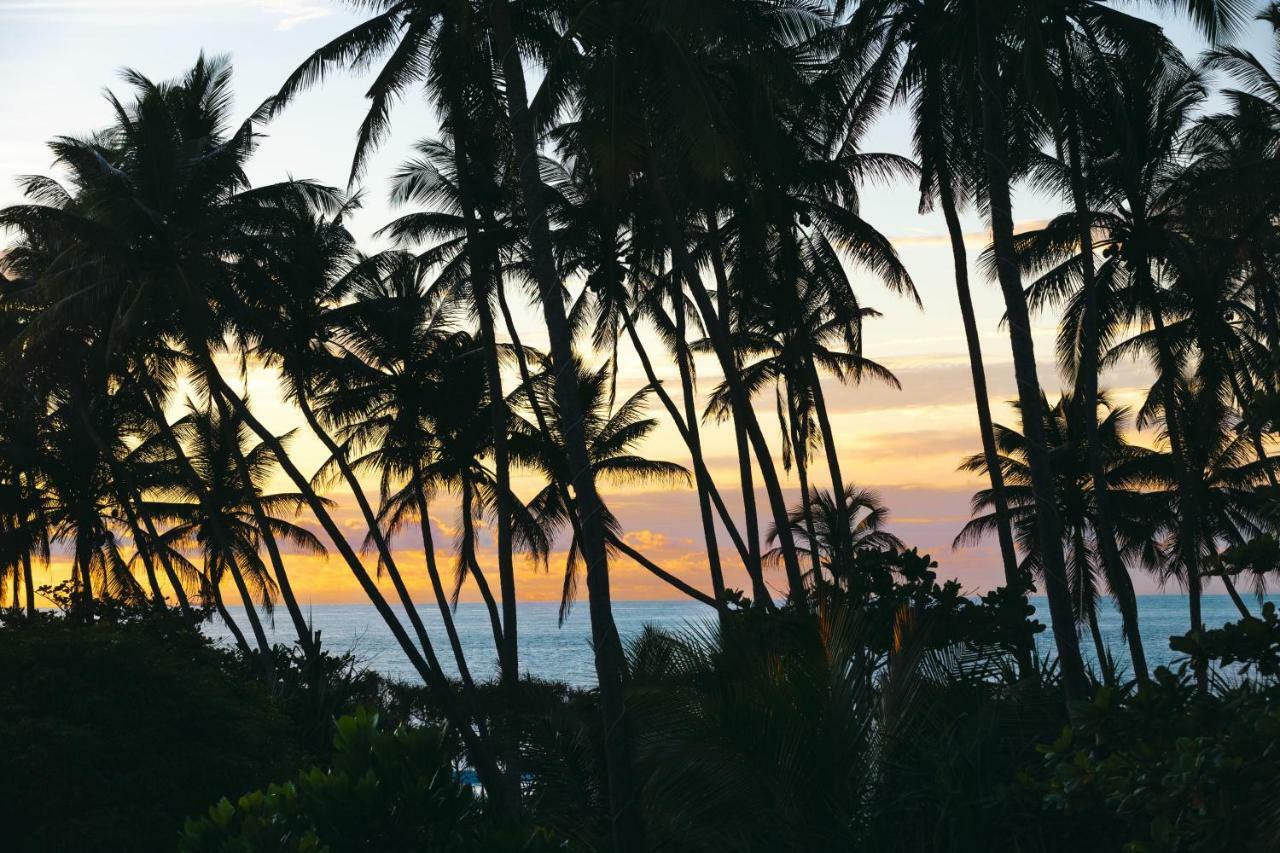 Amal Beach Hotel Bentota Ngoại thất bức ảnh
